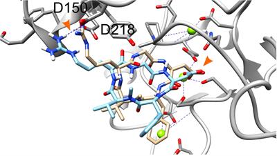 Three-Dimensional Modeling of Thyroid Hormone Metabolites Binding to the Cancer-Relevant αvβ3 Integrin: In-Silico Based Study